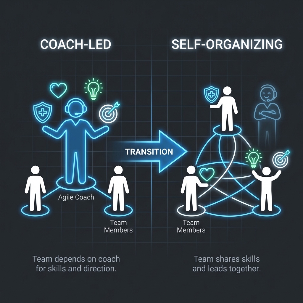 Role Transfer Diagram - Systemic Consulting Process